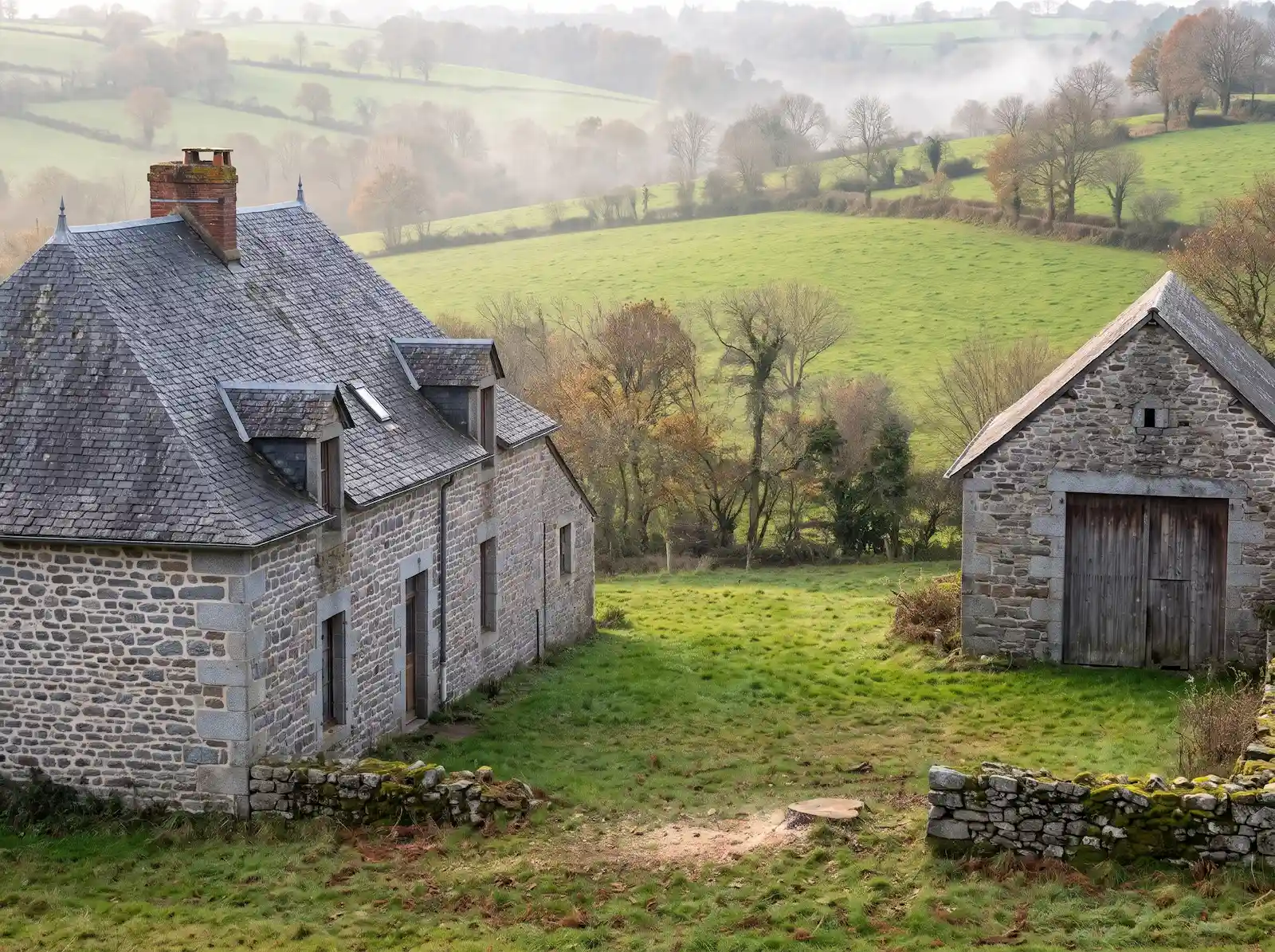 Après : arbre abattu, il ne reste qu’une souche coupée au ras du sol, entre la maison et la grange