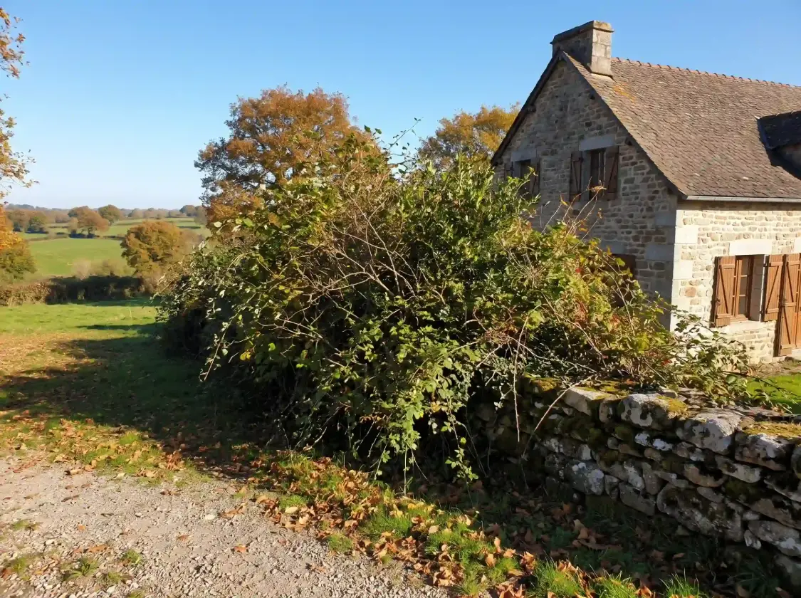 Avant : haie touffue qui déborde sur l’allée gravillonnée et le muret de pierres sèches, près d’une maison en pierre